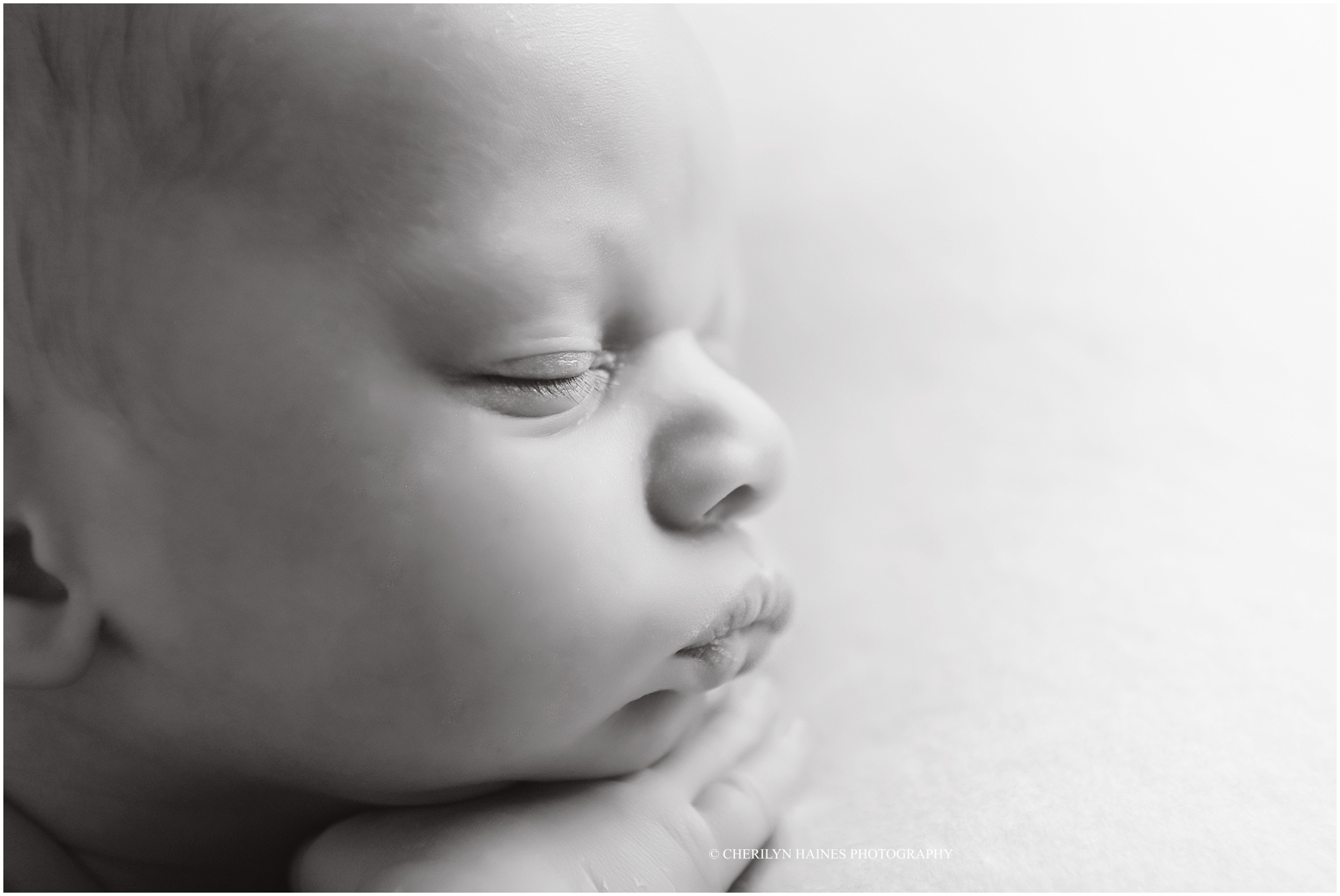 cherilyn-haines-photography-01