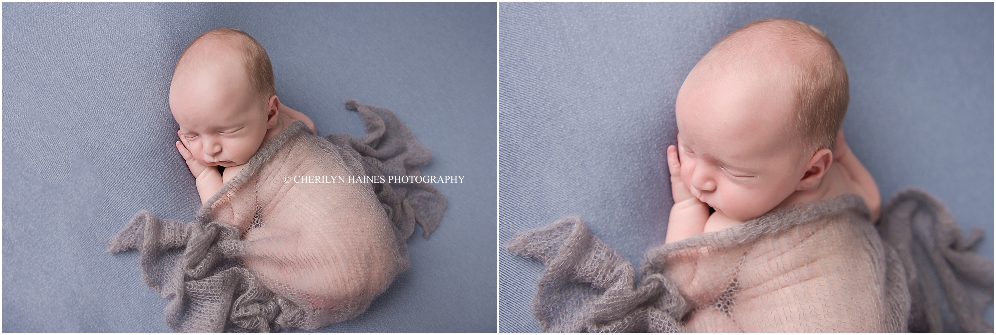cherilyn-haines-photography-02