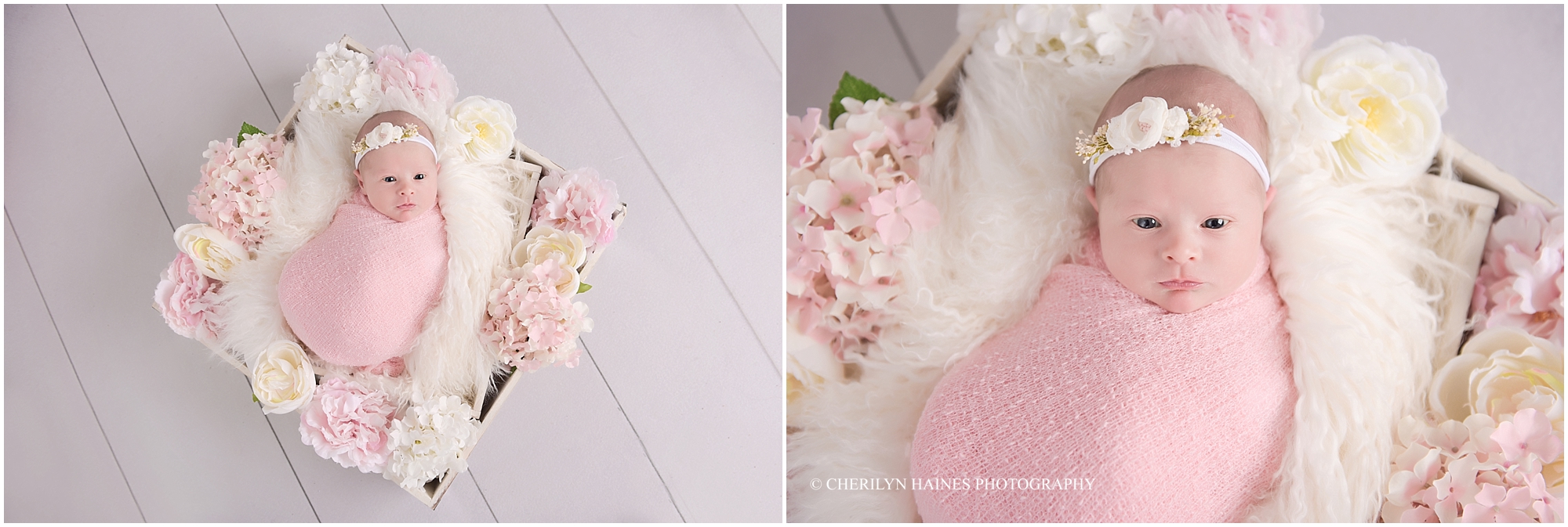 baton-rouge-photography-studio-01
