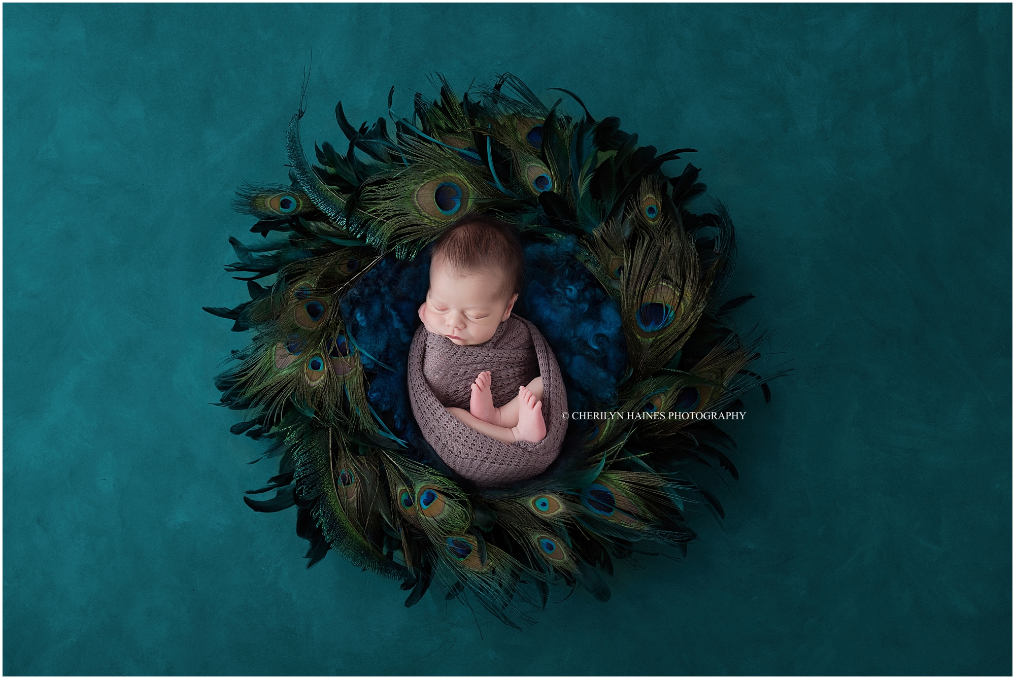 cherilyn-haines-photography-01