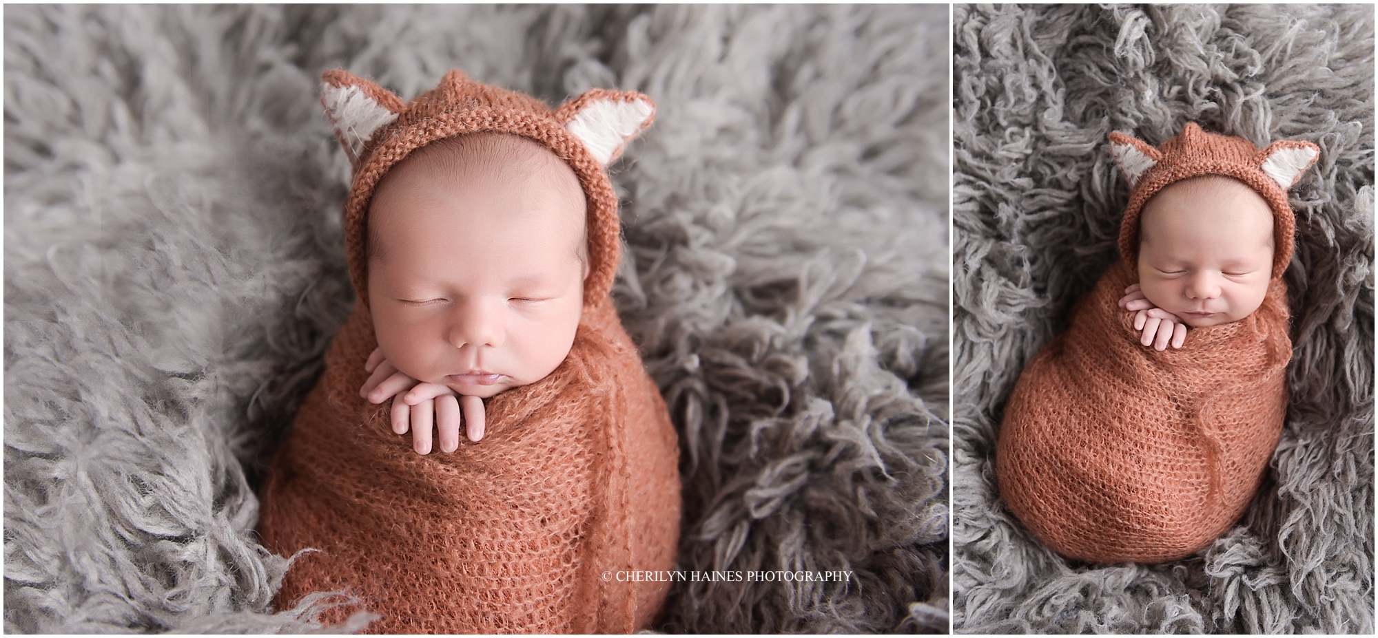 fox-themed-newborn-portrait-01