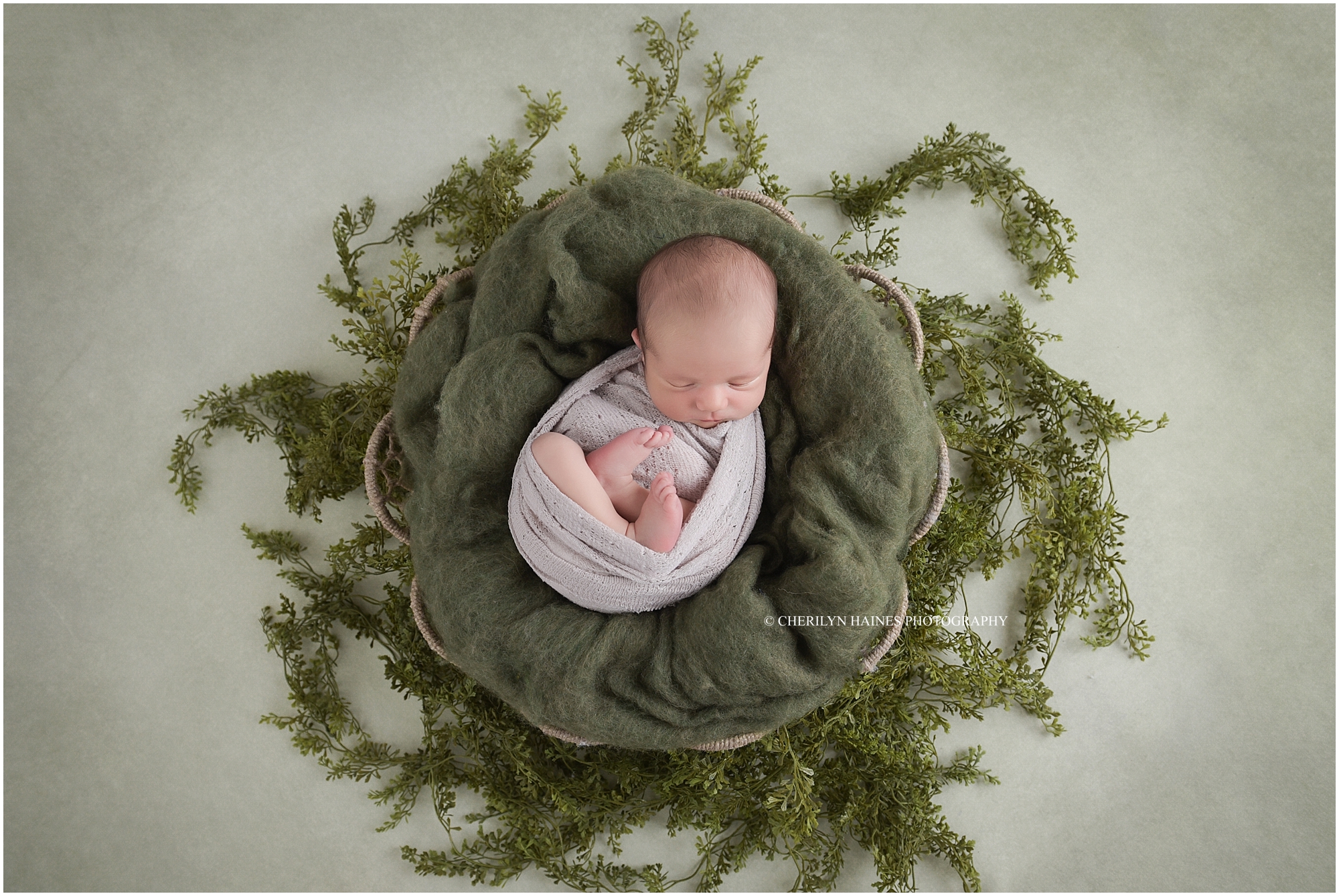 newborn-portraits-in-green-nest-01