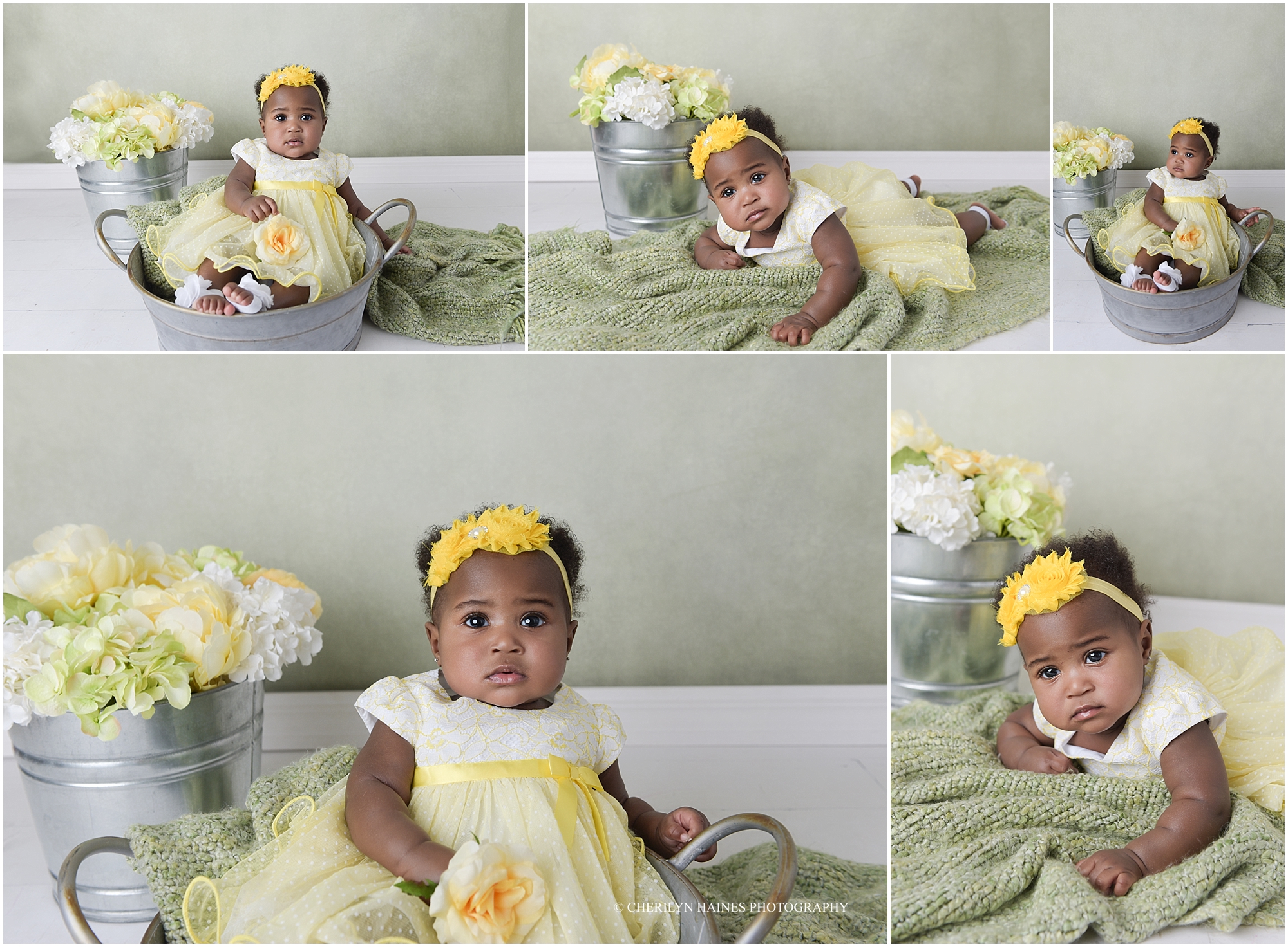 cherilyn-haines-photography-01