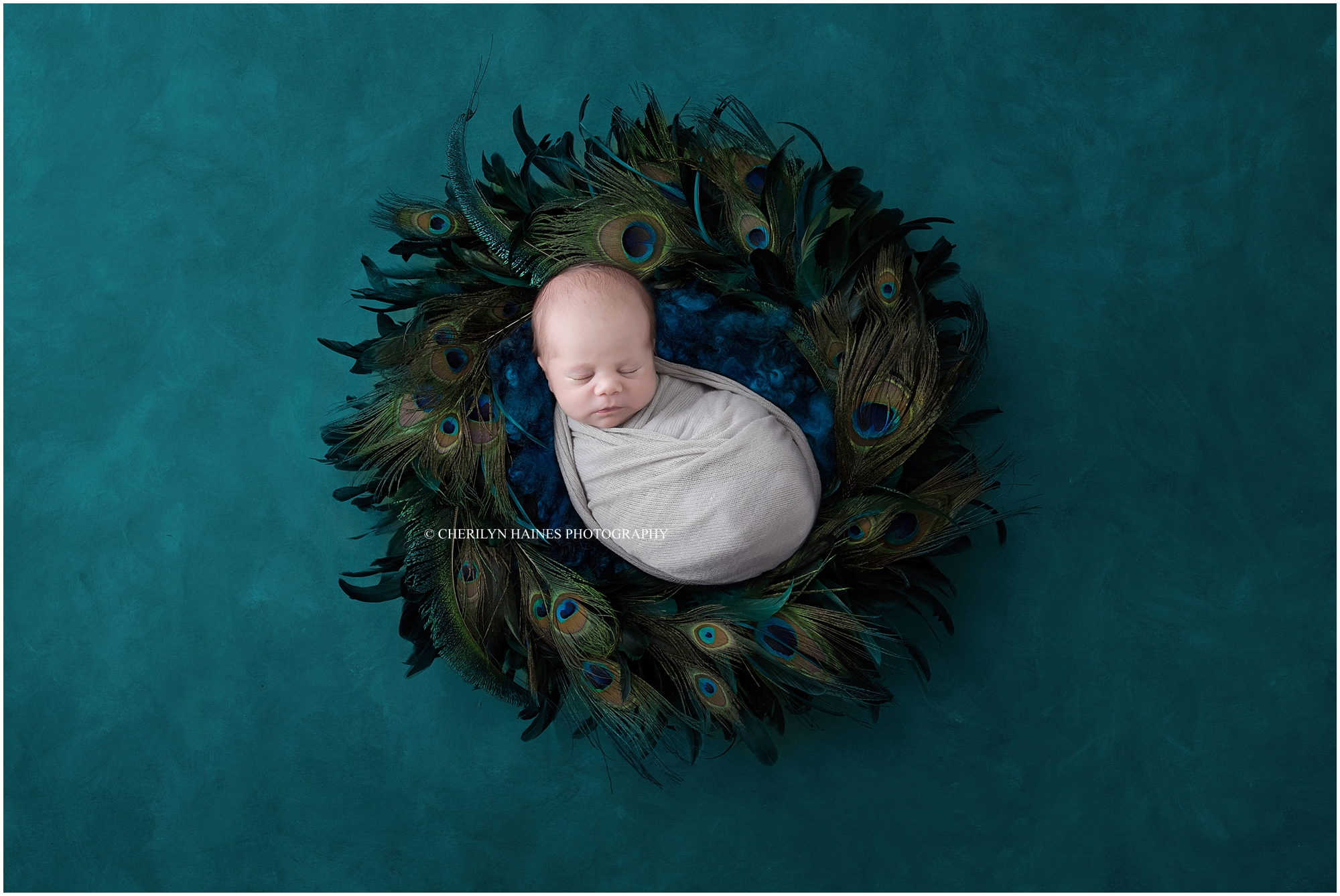 peacock-themed-newborn-portraits-01