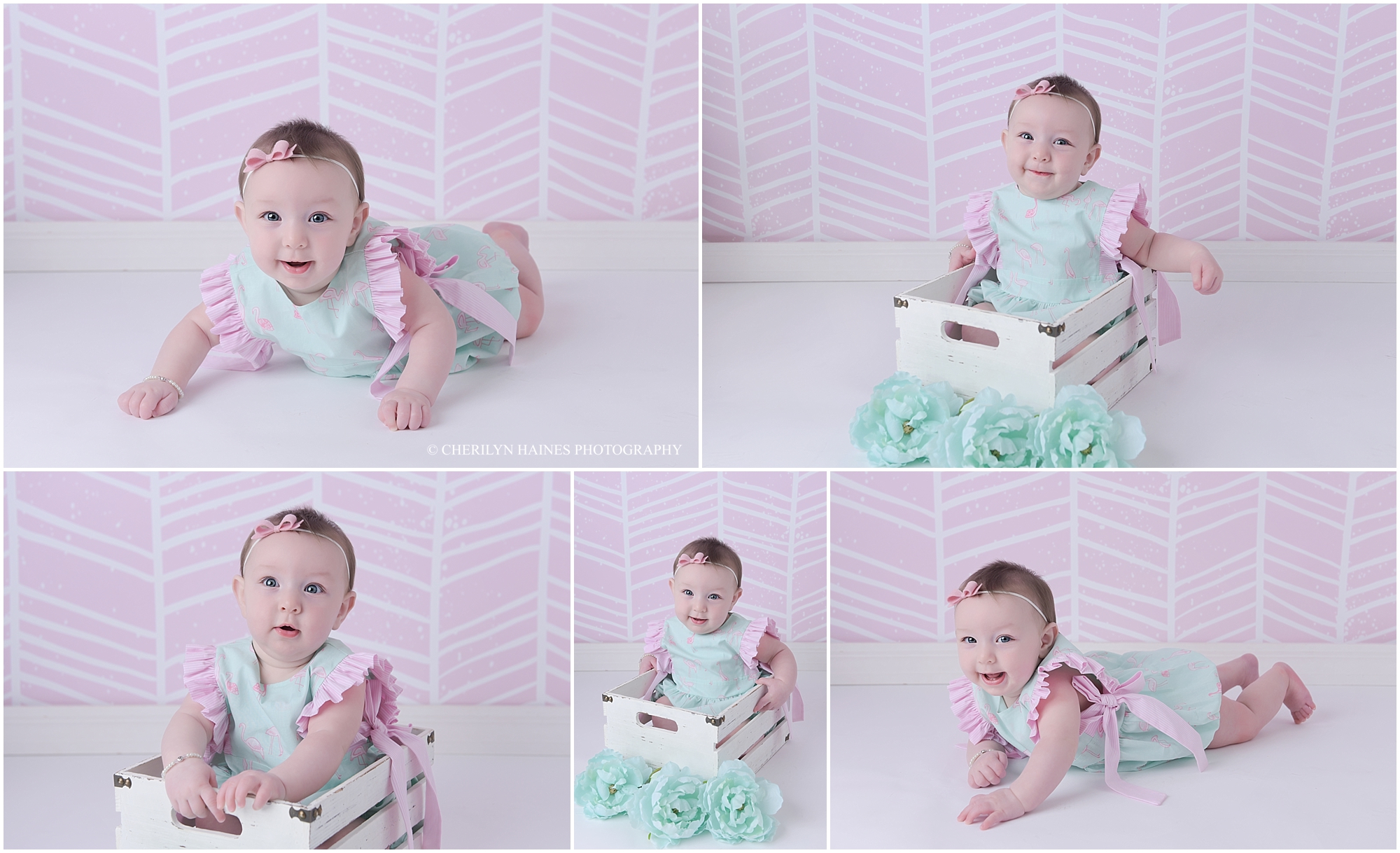 6-month-portraits-in-denham-springs-01