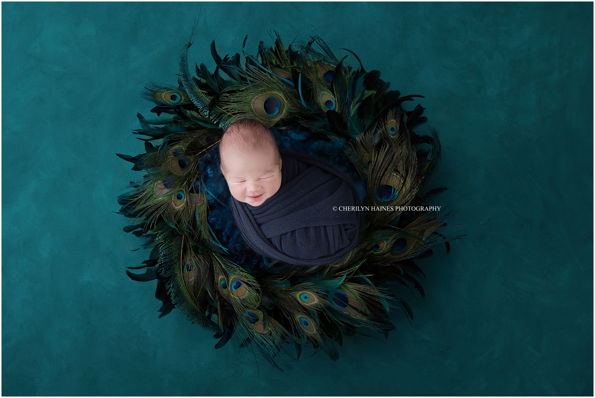 cherilyn-haines-photography-01