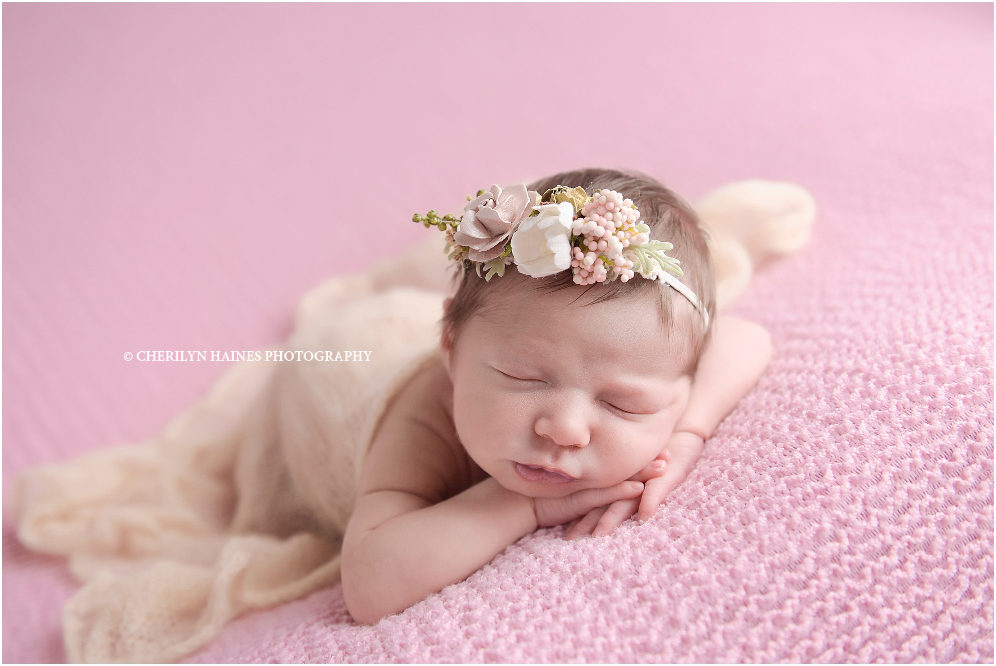 cherilyn-haines-photography-01