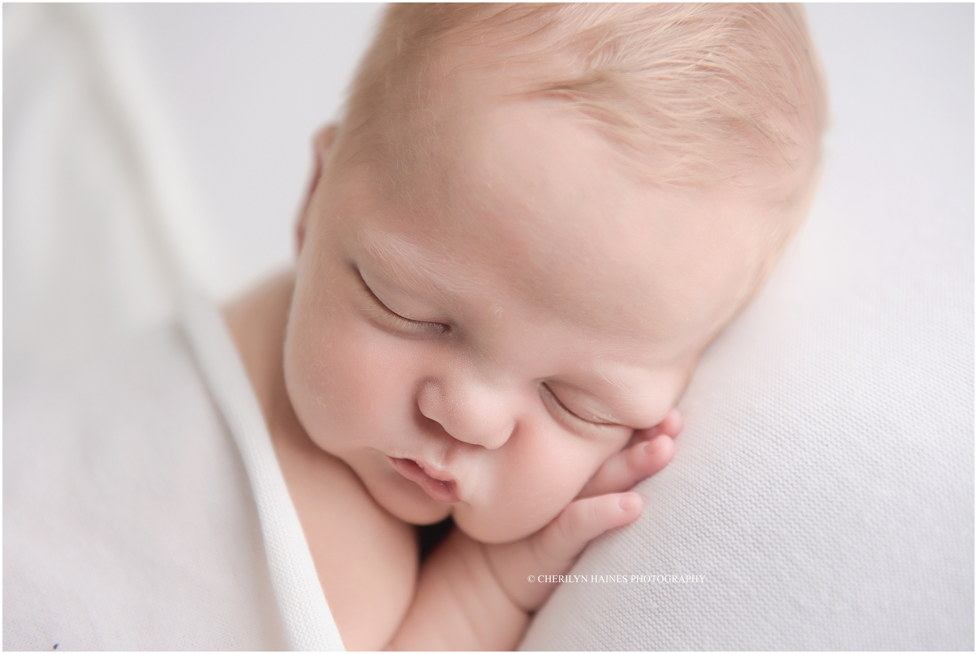 cherilyn-haines-photography-01