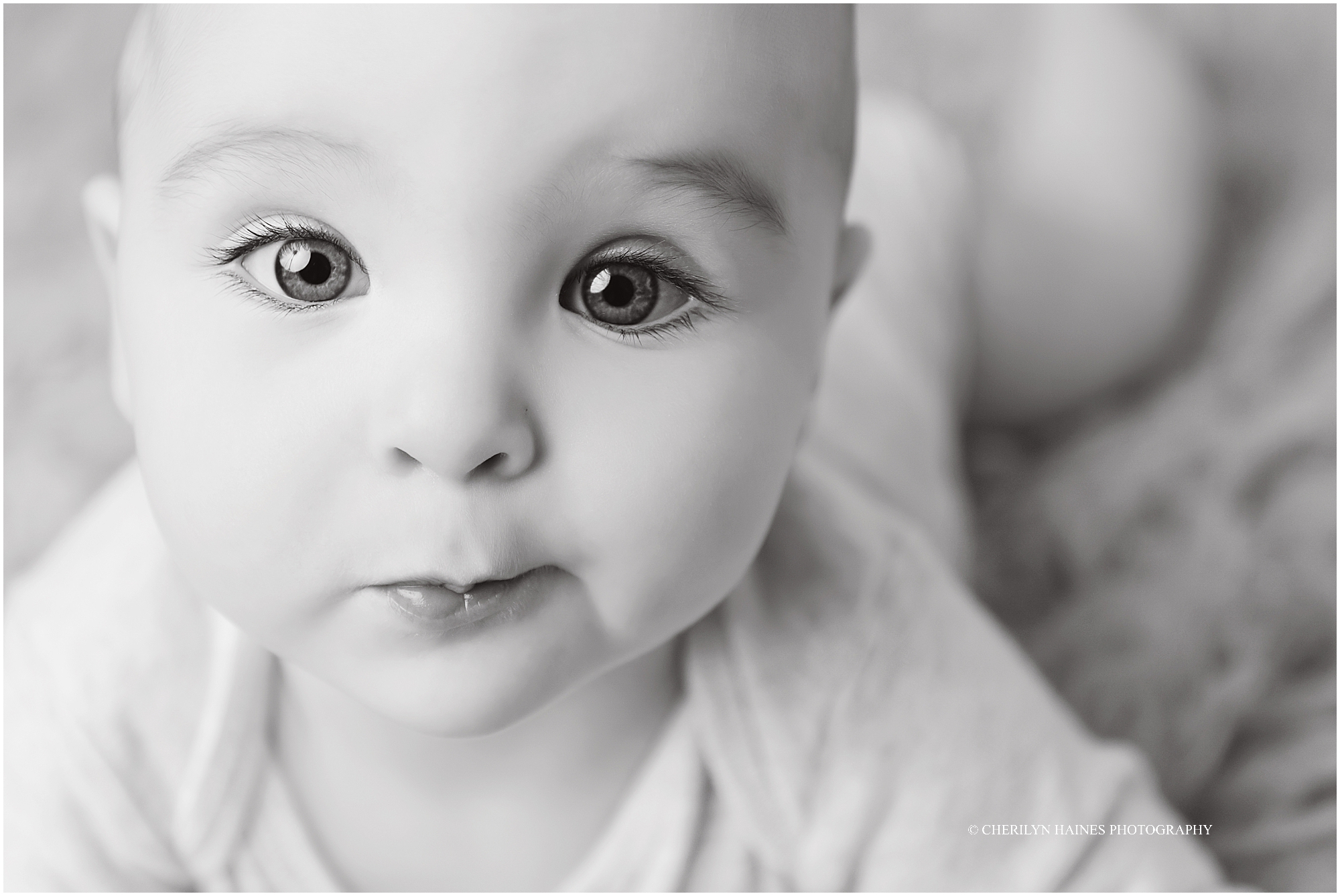 Jenson: 6 Months Old | Louisiana Baby Portrait Photographer