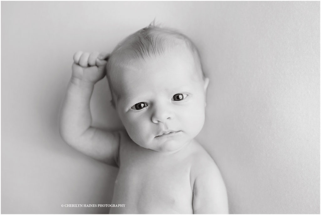 black and white portrait of awake newborn baby boy by cherilyn haines photography in baton rouge, louisiana