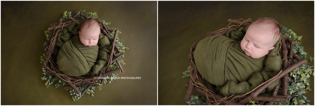 6 week old newborn baby boy photographed swaddled in olive green wrap laying in wooden nest