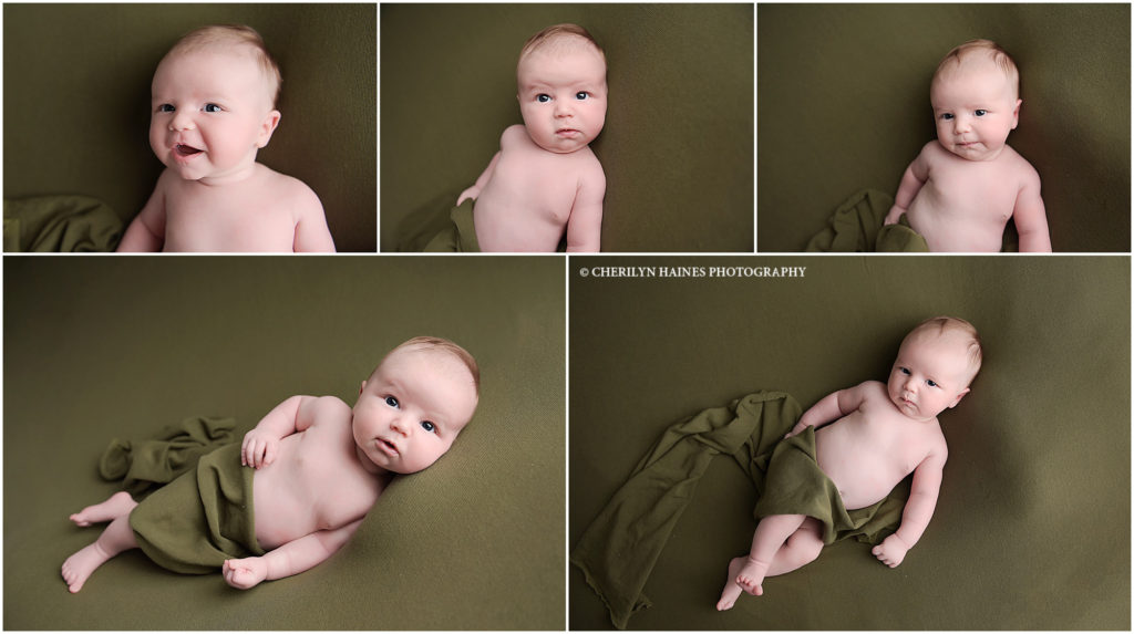 6 week old newborn baby boy photographed on olive green blanket; newborn posing by cherilyn haines photography