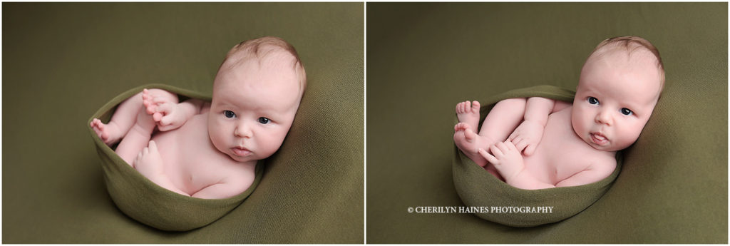 wide awake newborn portrait session of 6 week old baby boy