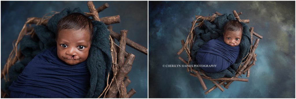 awake newborn baby boy photographed laying in wooden nest prop