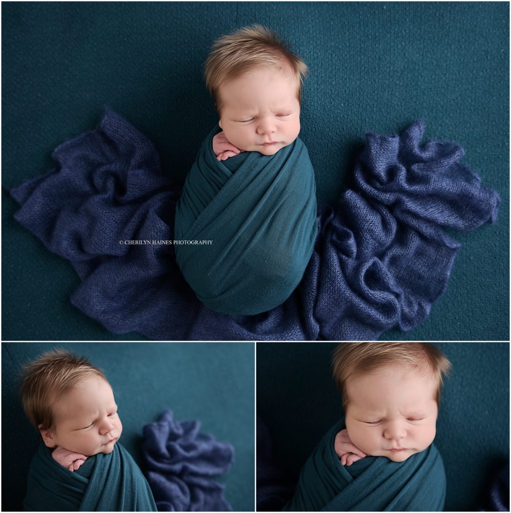 cherilyn haines photography; 15 day old newborn baby boy swaddled in teal laying on navy blanket