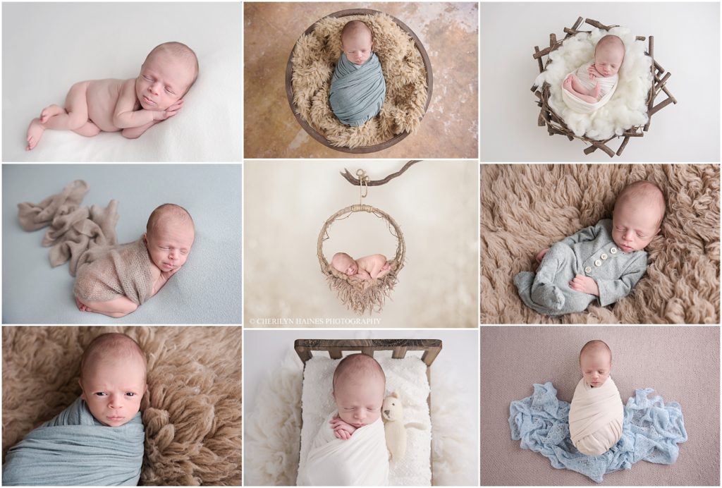 cherilyn haines photography; neutral baby boy newborn portrait session