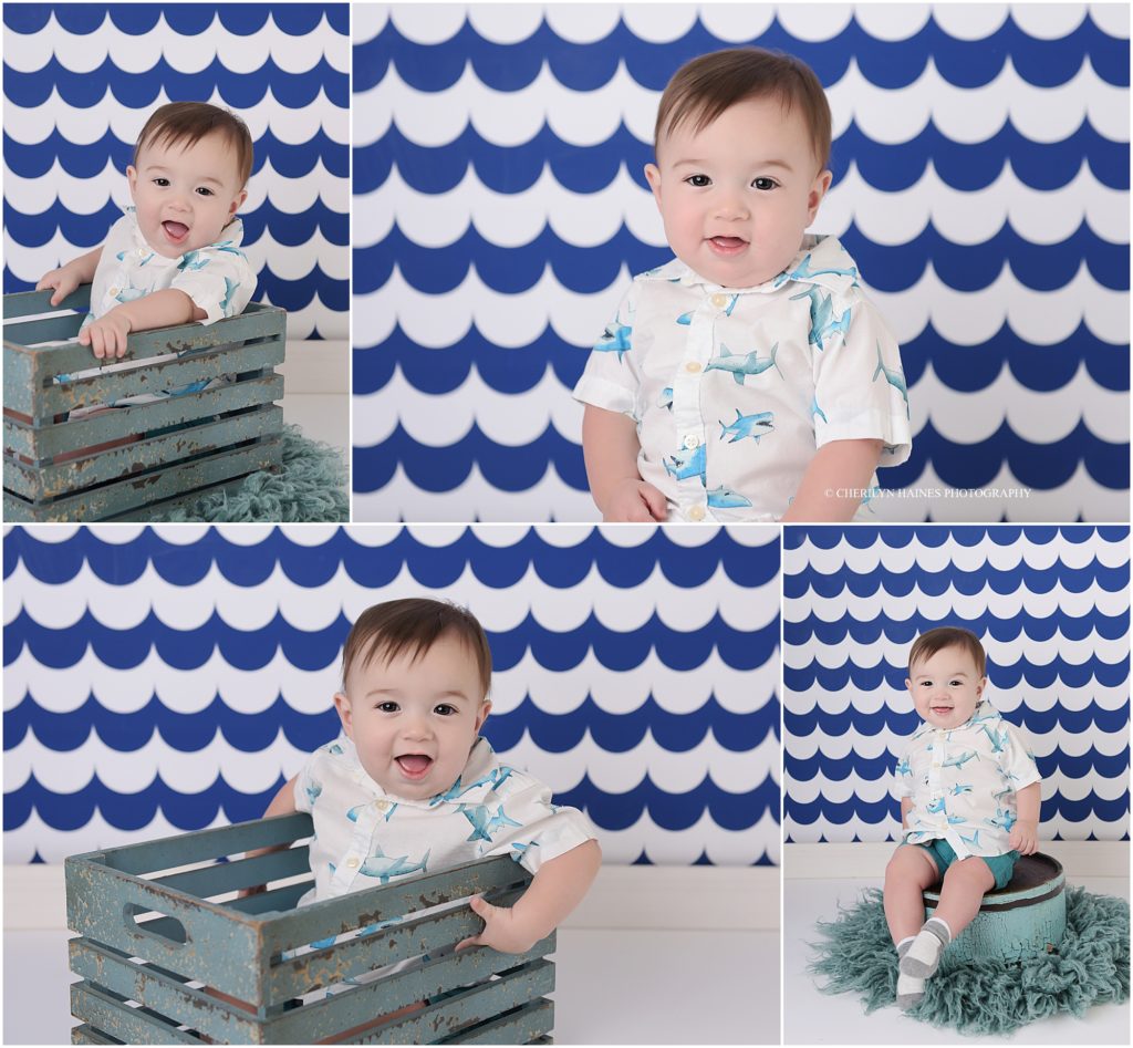 shark themed baby portraits