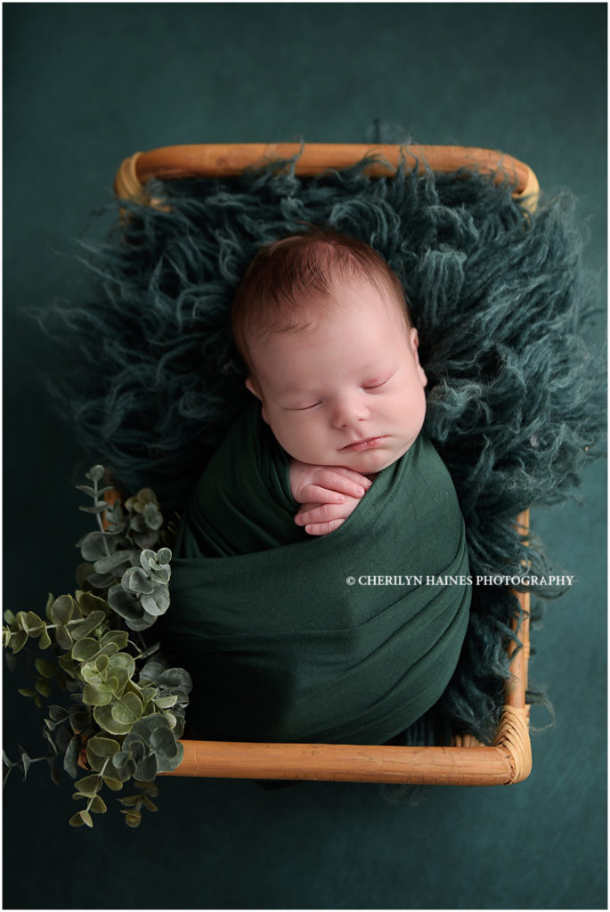 green themed newborn portrait session for 18 day old newborn baby boy; photograph by cherilyn haines photography