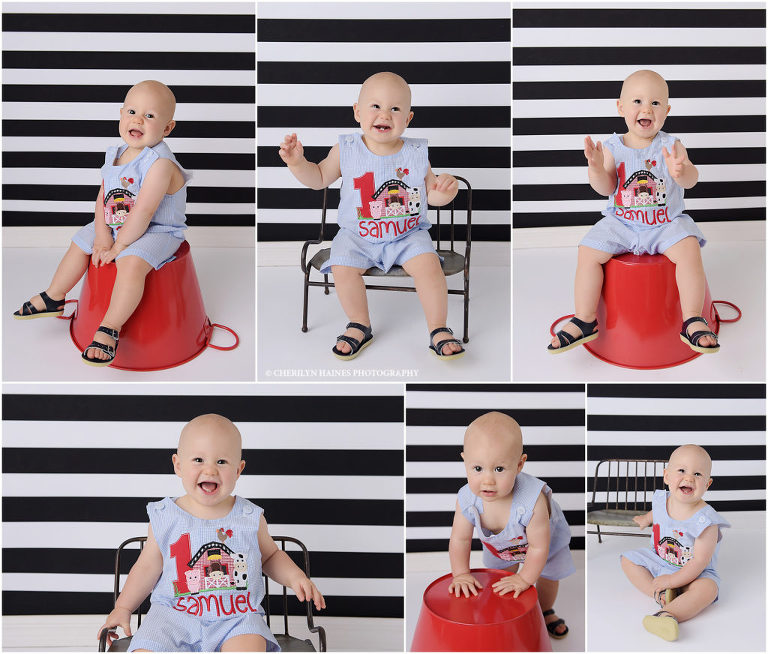 baton rouge, louisiana baby photographer; baby boy farm-themed 1 year portraits