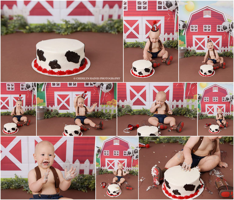 farm themed cake smash session in new orleans, louisiana with cherilyn haines photography