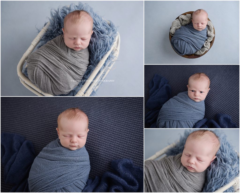 blue and gray themed newborn portrait session with cherilyn haines photography