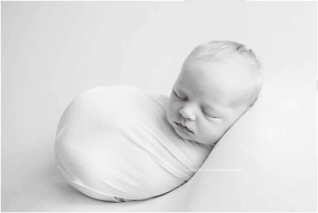 black and white portrait of newborn baby boy swaddled in white