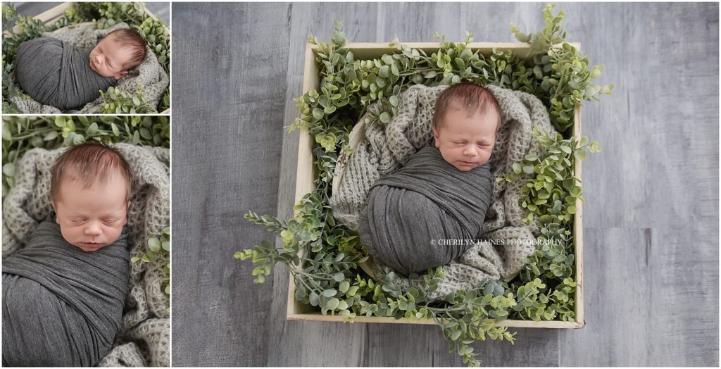 newborn session styled with gray and greenery