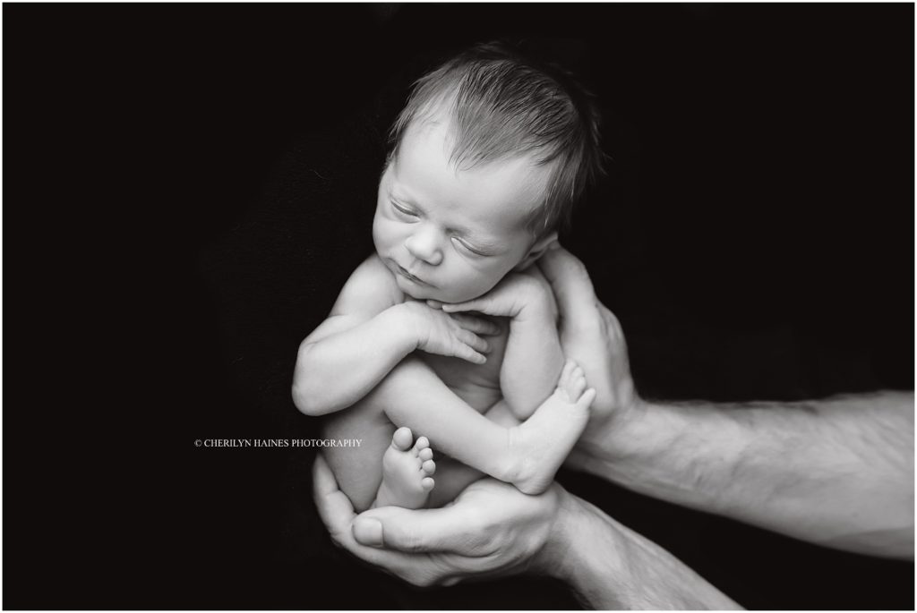 fine art newborn portrait session in louisiana with cherilyn haines photography