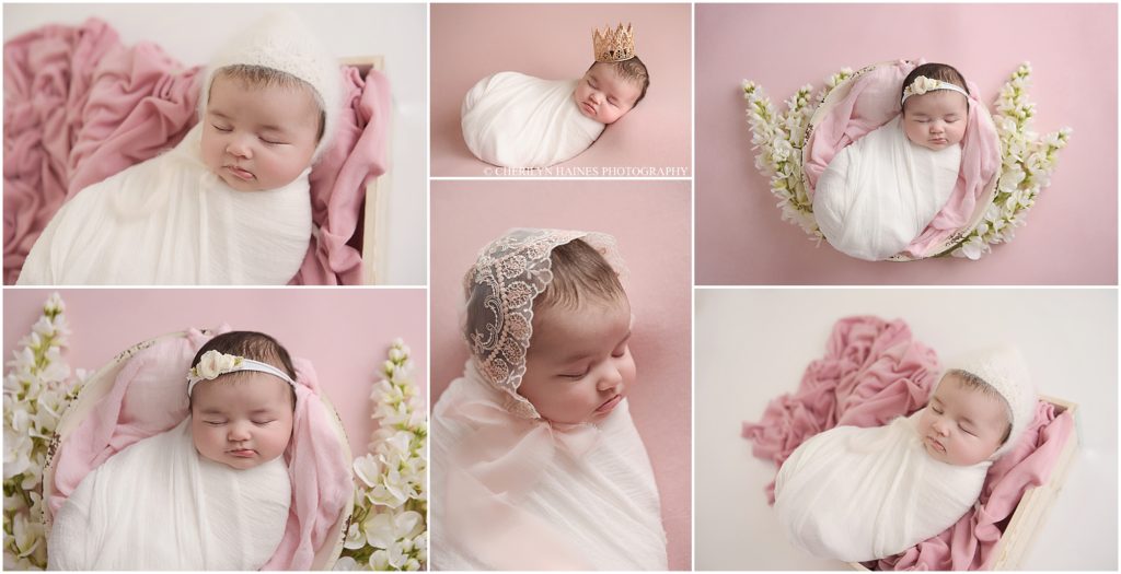 cherilyn haines photography