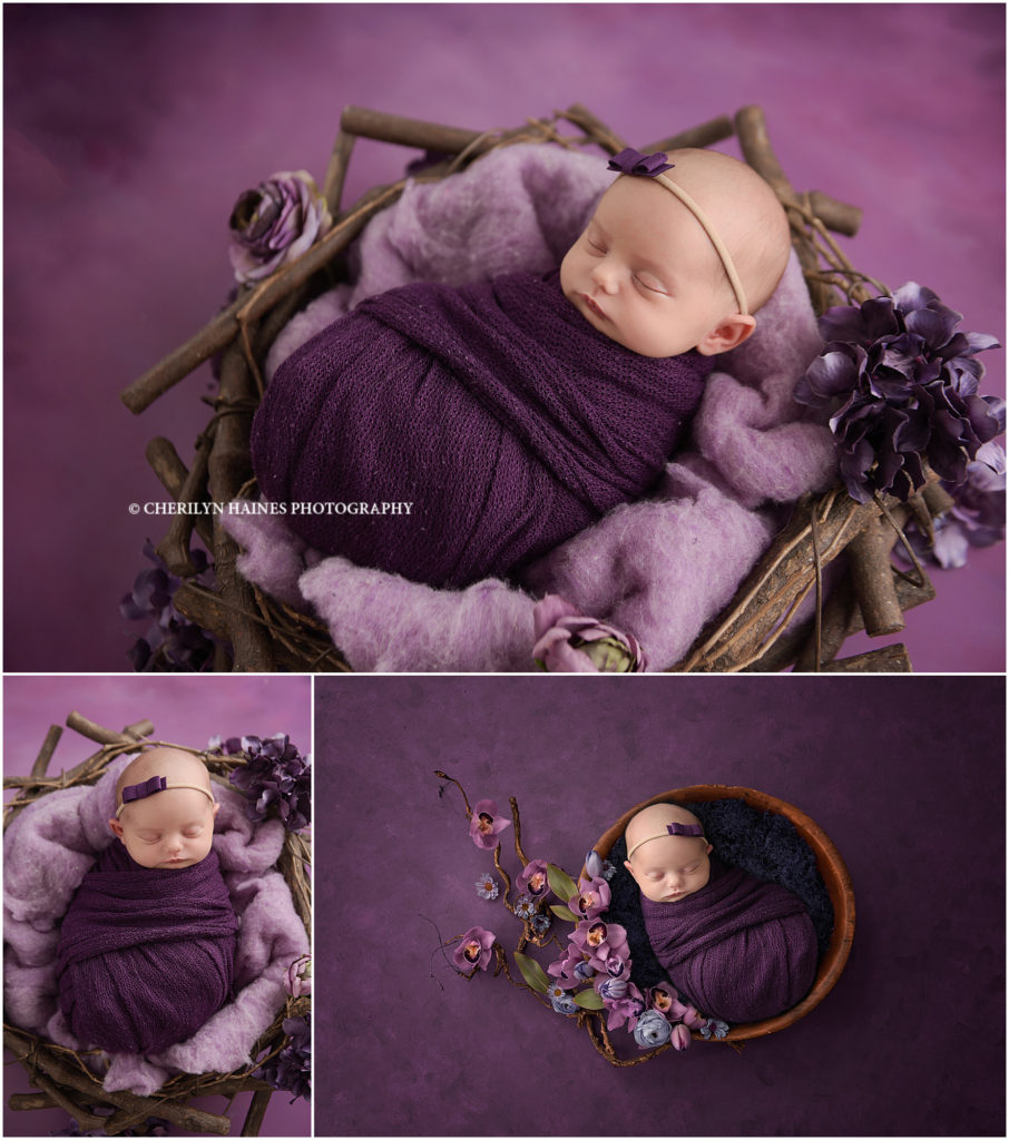 cherilyn haines photography