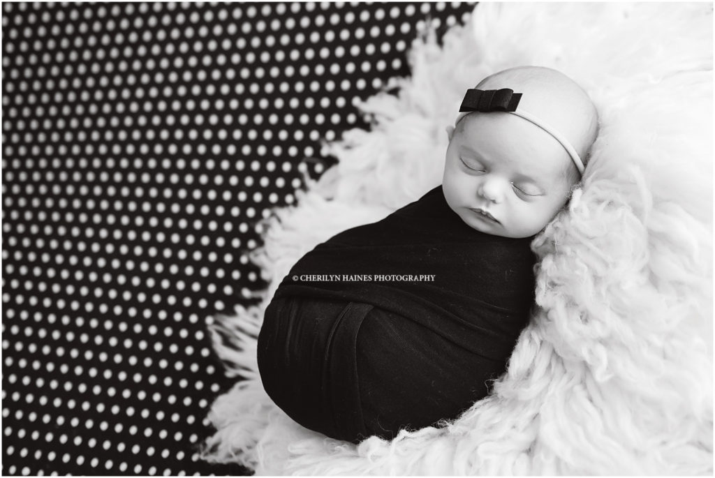 newborn session on black and white polka dot backdrop