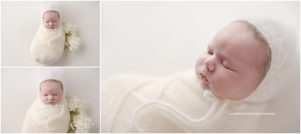 backlit newborn portraits by cherilyn Haines photography