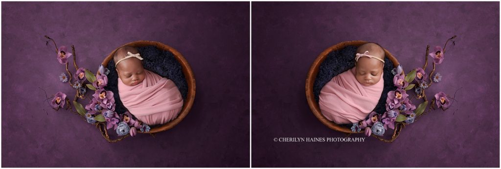 cherilyn haines photography