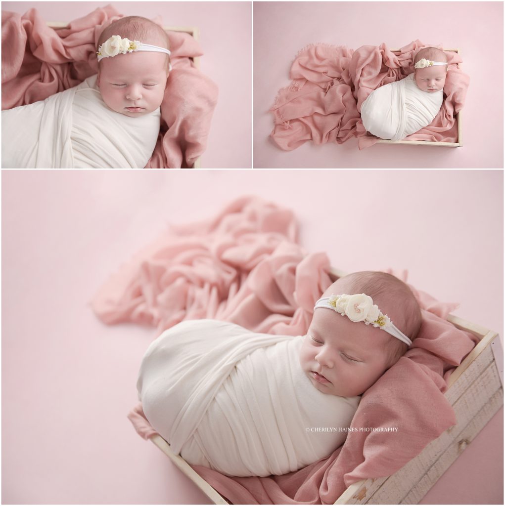 pink and cream themed newborn portrait session with cherilyn haines photography