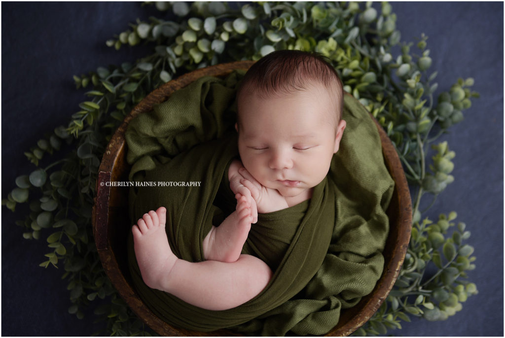2 week old newborn baby boy photographed curled up in tiny bowl surrounded by greenery; cherilyn haines photography