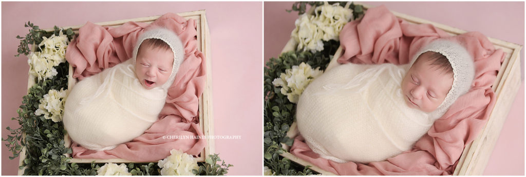 pink floral themed newborn portrait session in hammond, louisiana