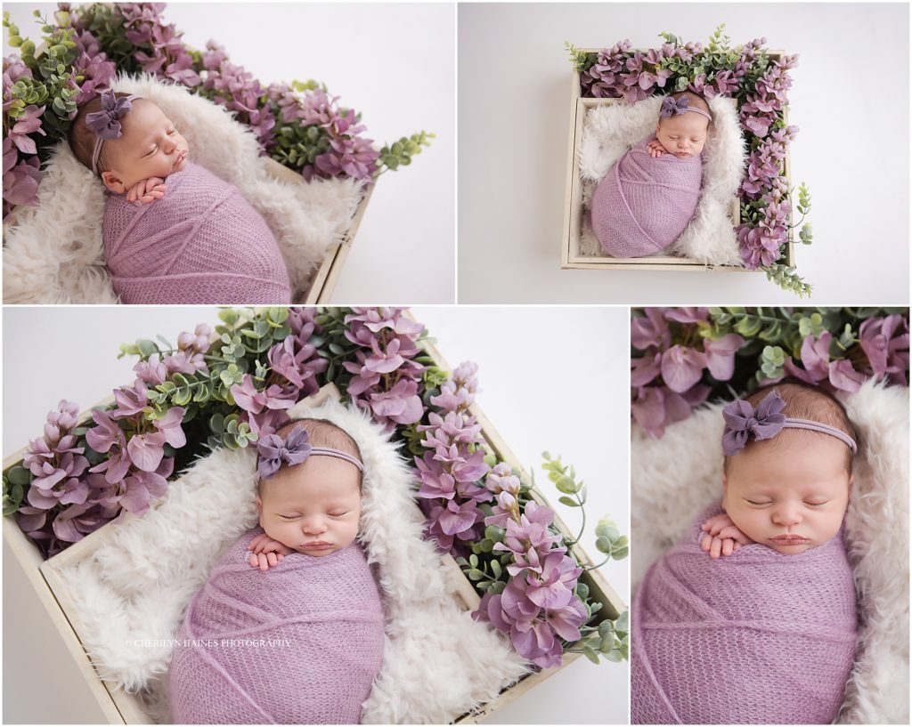 14 day old newborn baby girl photographed in basket with lavender flowers in hammond, louisiana
