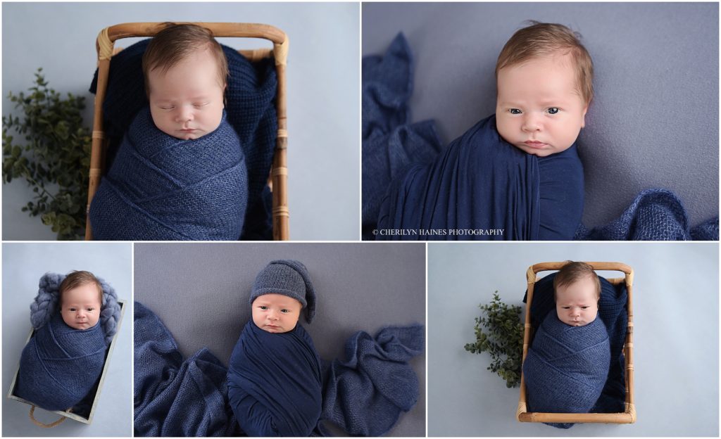 light blue and navy blue themed newborn portrait session with cherilyn haines photography in baton rouge, louisiana; cherilyn photographed this 2 week old newborn baby boy while he was still awake and looking at her