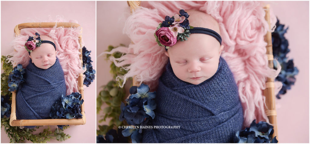 navy and pink themed newborn portraits photographed by cherilyn haines photography in denham springs, louisiana