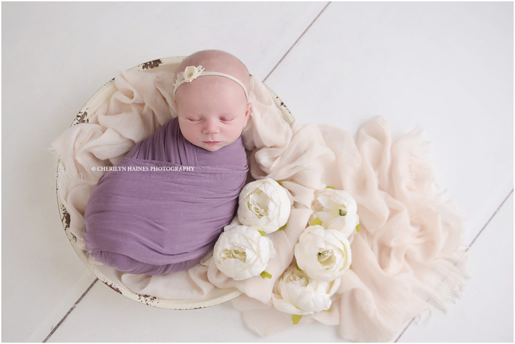 cherilyn haines photography