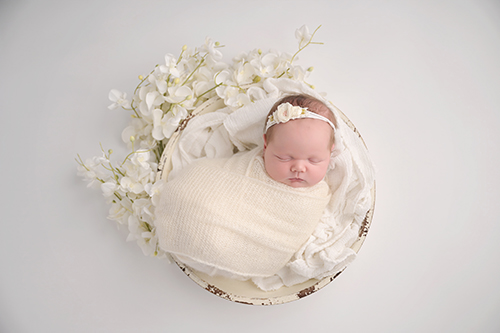 Sleeping newborn baby posed in floral basket in Baton Rouge photography studio
