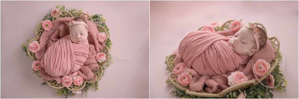 Baby girl swaddled in pink lying in a round basket surrounded by greenery and pink roses in Baton Rouge, Louisiana